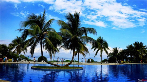 绿的梦奶茶加盟费要多少钱才能够开店经营，奶茶店面要多大才够