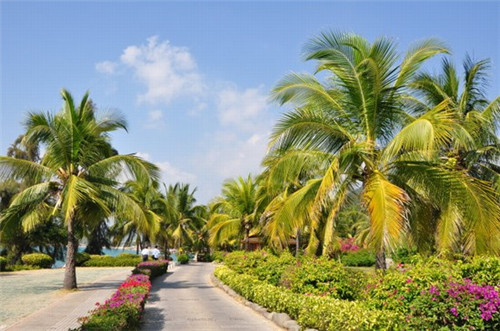 在当涂县加盟再遇见奶茶有前途吗，当涂县开奶茶店有什么优势