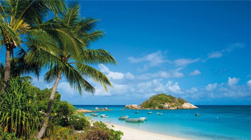 多拉打印官网app，多拉打印怎么加盟费